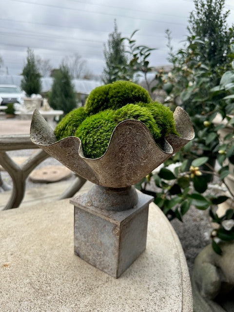 Moss Mounds