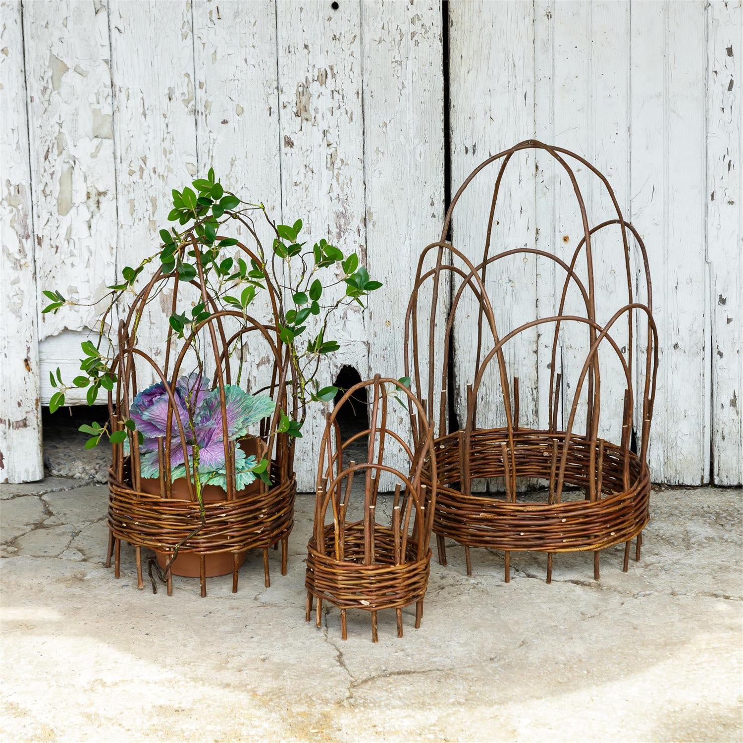 WOVEN WILLOW CLOCHE TRELLIS