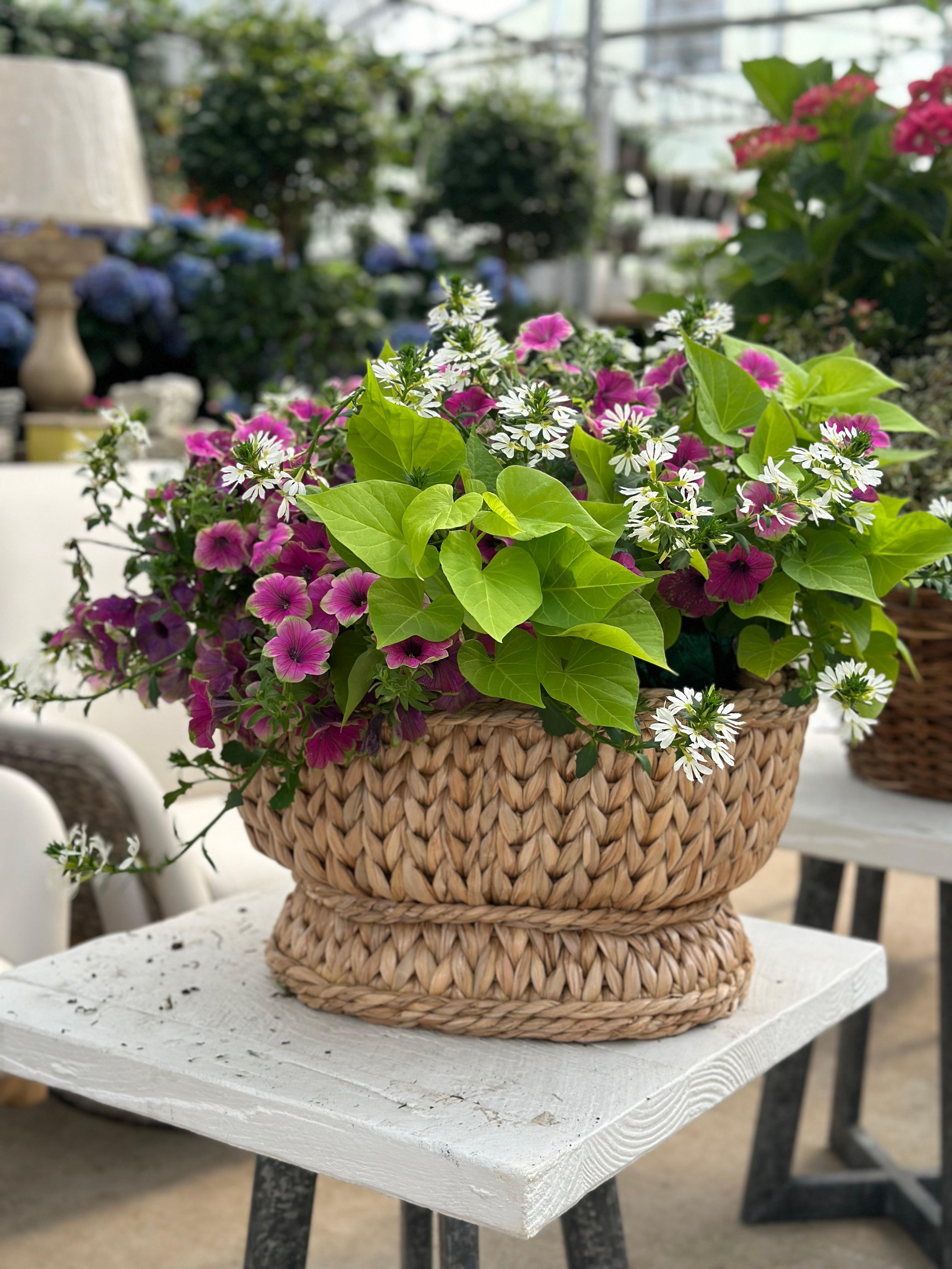SWEATER WEAVE OVAL COMPOTE BASKET