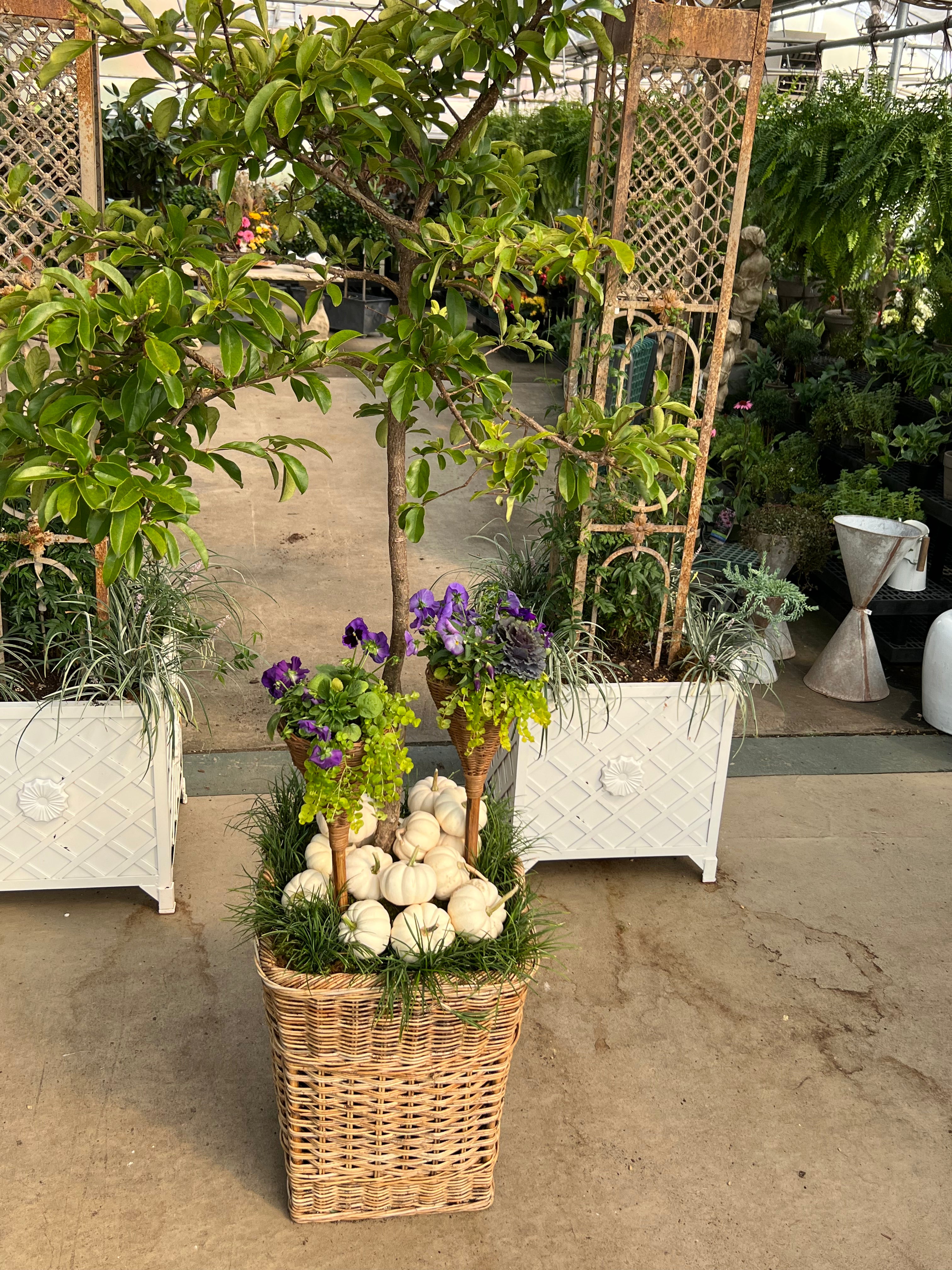 FRENCH COUNTRY ORCHARD BASKET