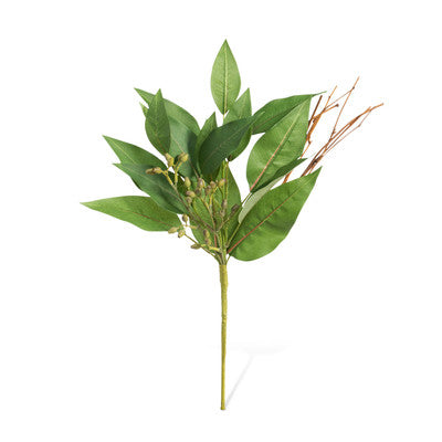 SEEDED EUCALYPTUS