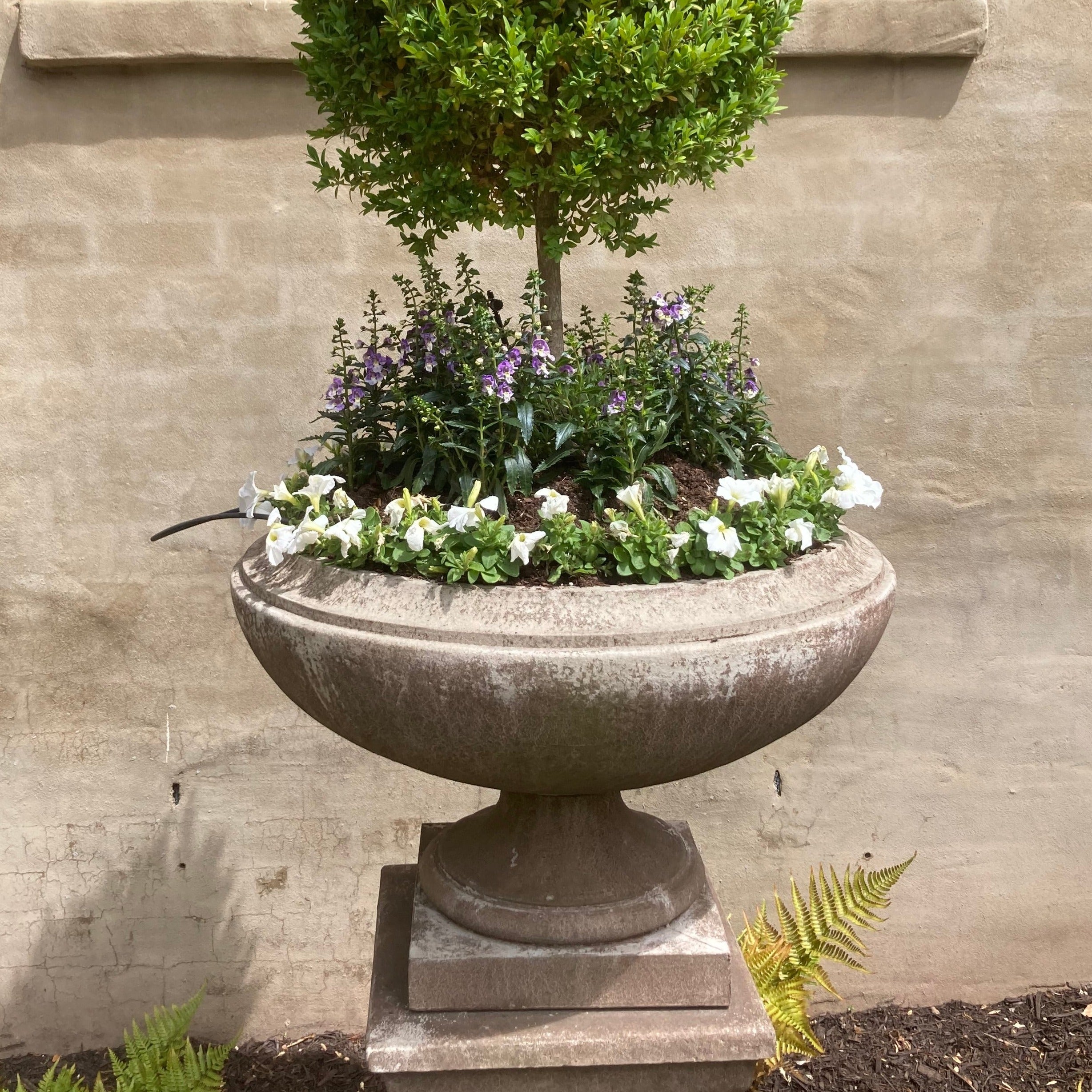 JENSEN URN