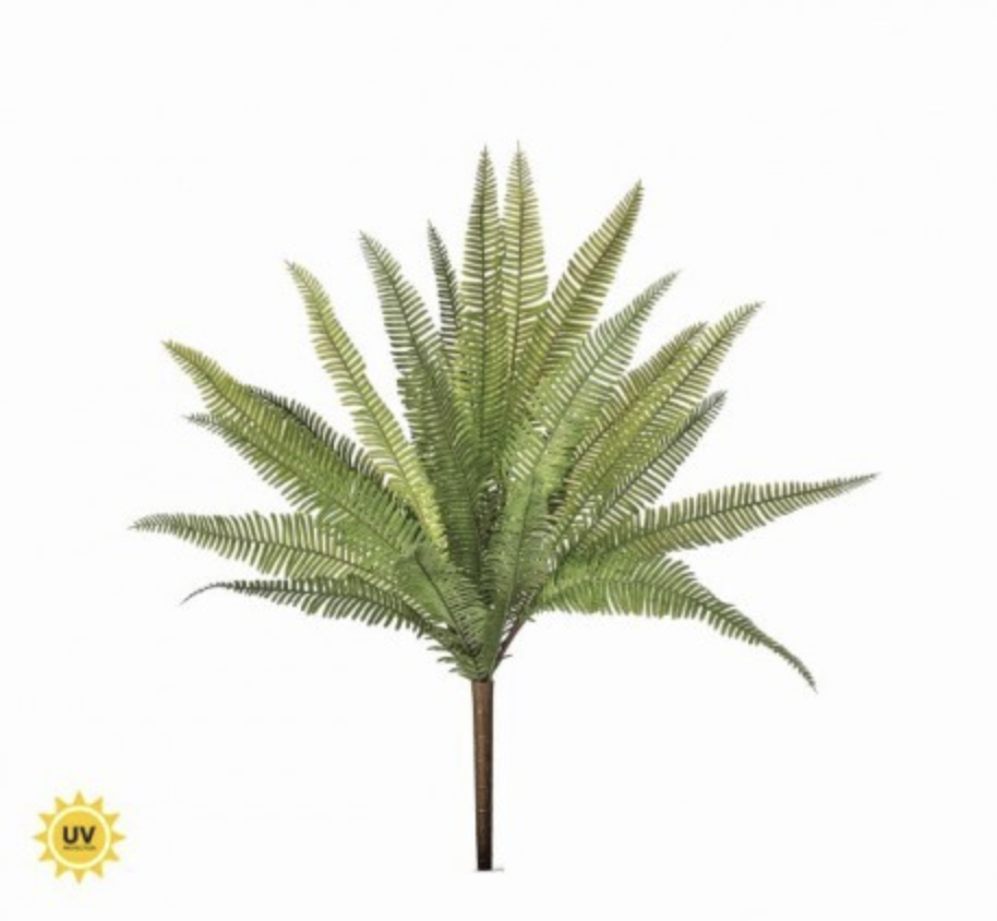 19" DEER FERN BUSH