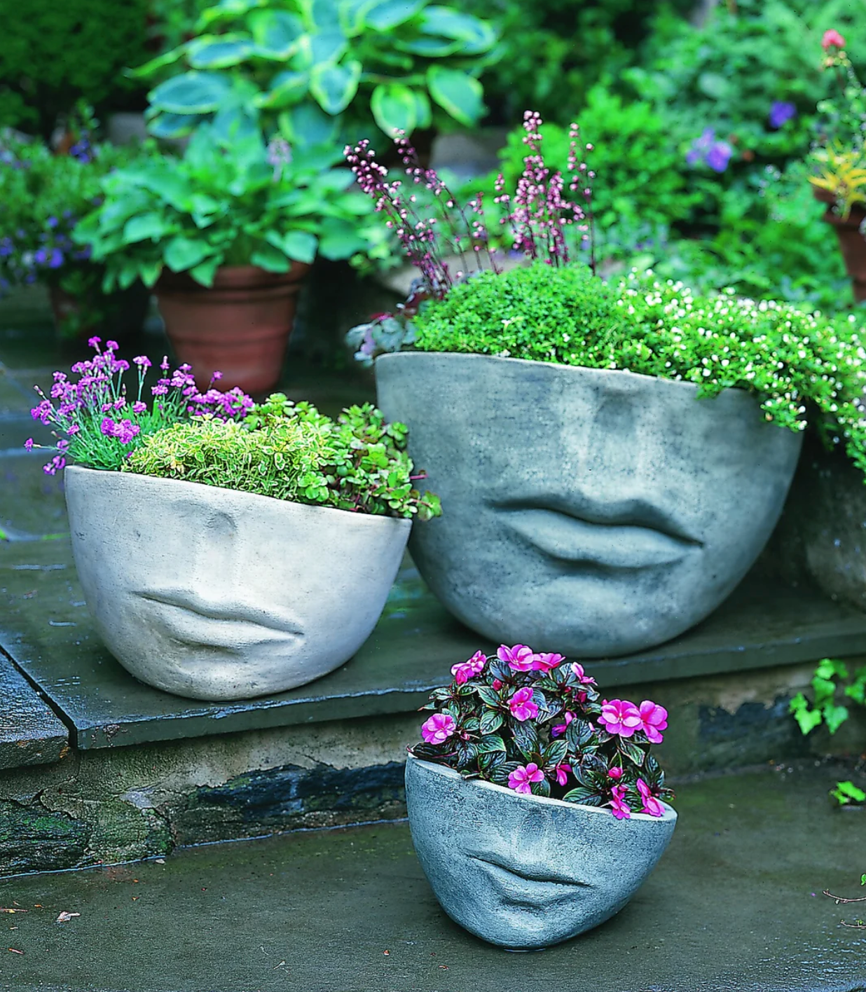 FACCIA PLANTER
