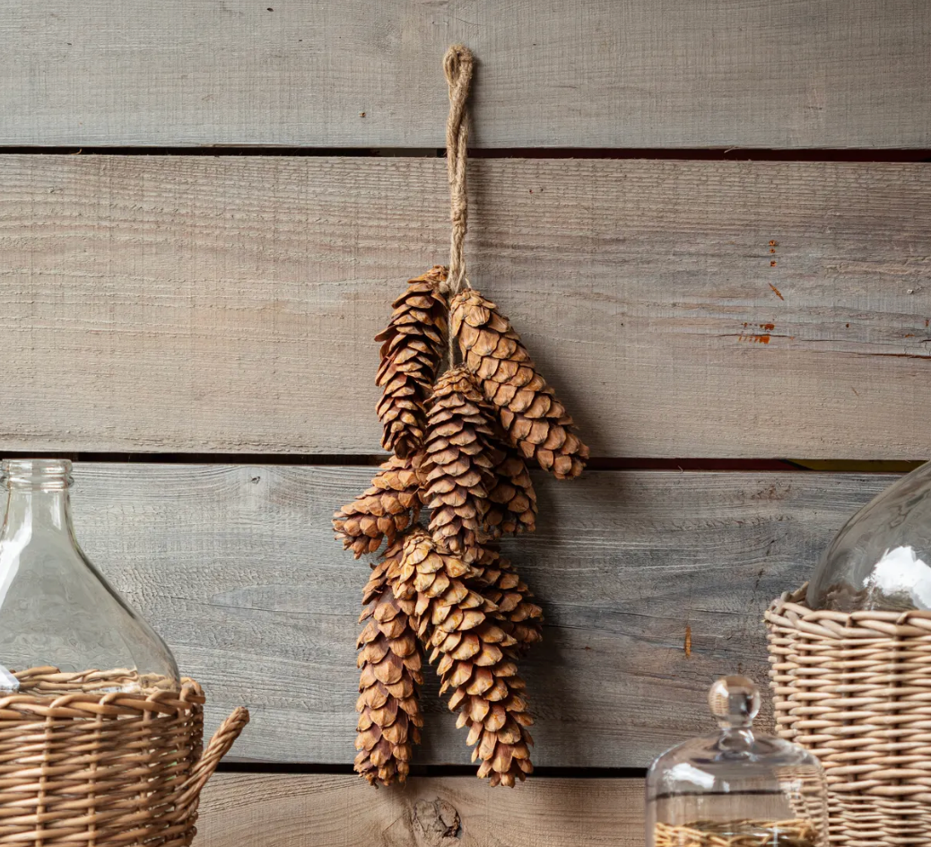 DRIED PINECONE BUNCH