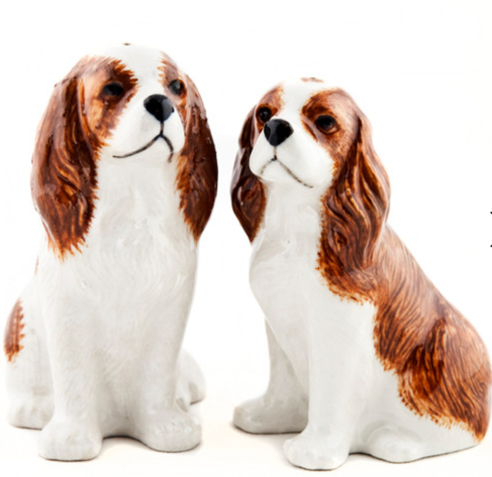 KING CHARLES SPANIEL S'N'P SHAKERS