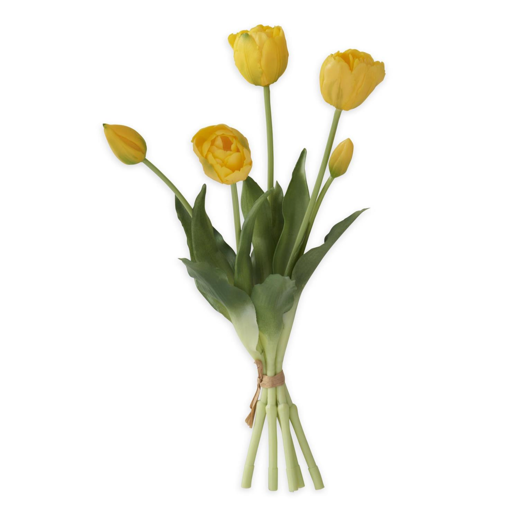 15" TULIP BUD & BLOOM-UV